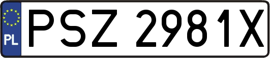 PSZ2981X