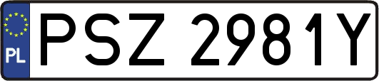 PSZ2981Y