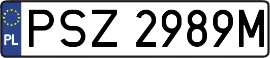 PSZ2989M