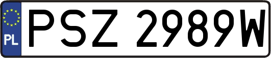 PSZ2989W