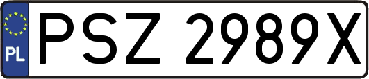 PSZ2989X
