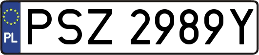 PSZ2989Y
