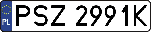 PSZ2991K