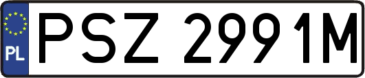 PSZ2991M