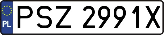 PSZ2991X