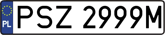 PSZ2999M