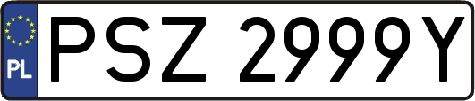 PSZ2999Y