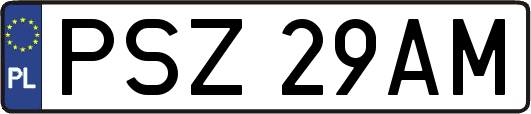 PSZ29AM
