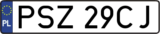 PSZ29CJ