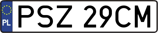PSZ29CM