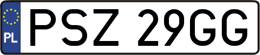 PSZ29GG