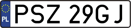 PSZ29GJ