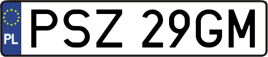 PSZ29GM