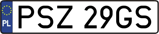 PSZ29GS