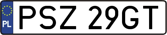 PSZ29GT