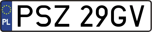 PSZ29GV
