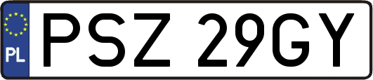 PSZ29GY