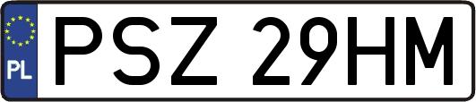 PSZ29HM