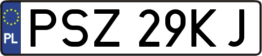 PSZ29KJ