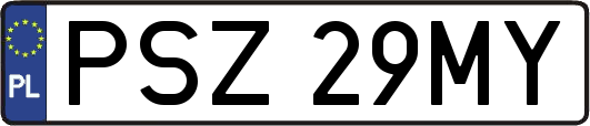 PSZ29MY