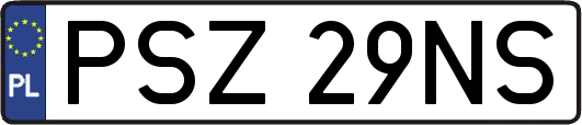 PSZ29NS