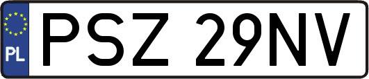 PSZ29NV