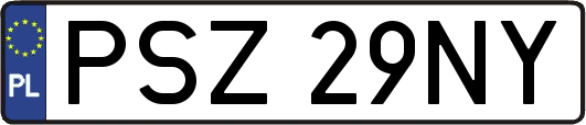 PSZ29NY