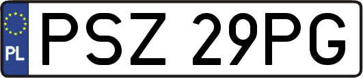 PSZ29PG