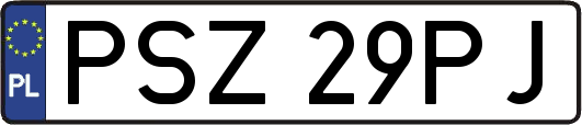 PSZ29PJ