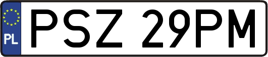 PSZ29PM
