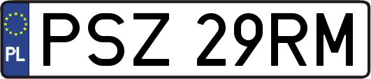 PSZ29RM