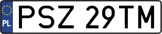 PSZ29TM