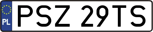 PSZ29TS