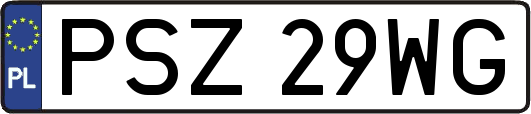 PSZ29WG