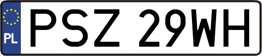 PSZ29WH