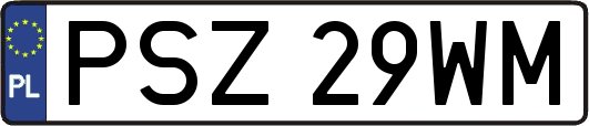 PSZ29WM