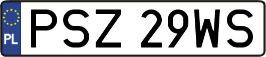 PSZ29WS