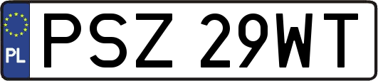 PSZ29WT