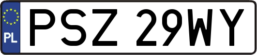 PSZ29WY