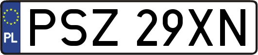 PSZ29XN