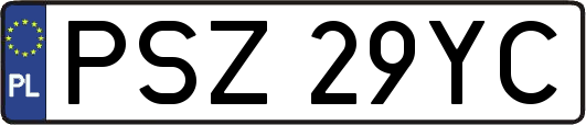 PSZ29YC