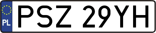 PSZ29YH