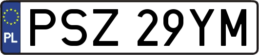 PSZ29YM
