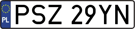 PSZ29YN