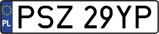 PSZ29YP