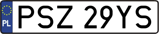 PSZ29YS