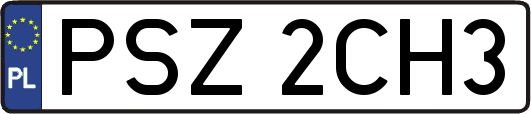 PSZ2CH3