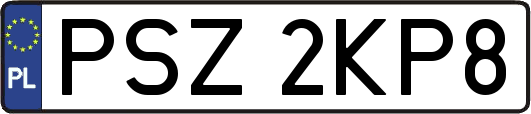 PSZ2KP8