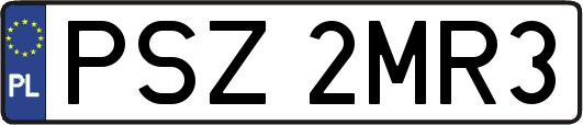 PSZ2MR3