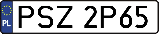 PSZ2P65